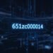 Discovering the Unique Features of 651zc00014