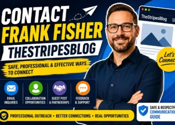 Connecting with the Creative Force Behind The Stripes Blog: Contact Frank